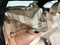 2023 BMW 230i xDrive 230i xDrive