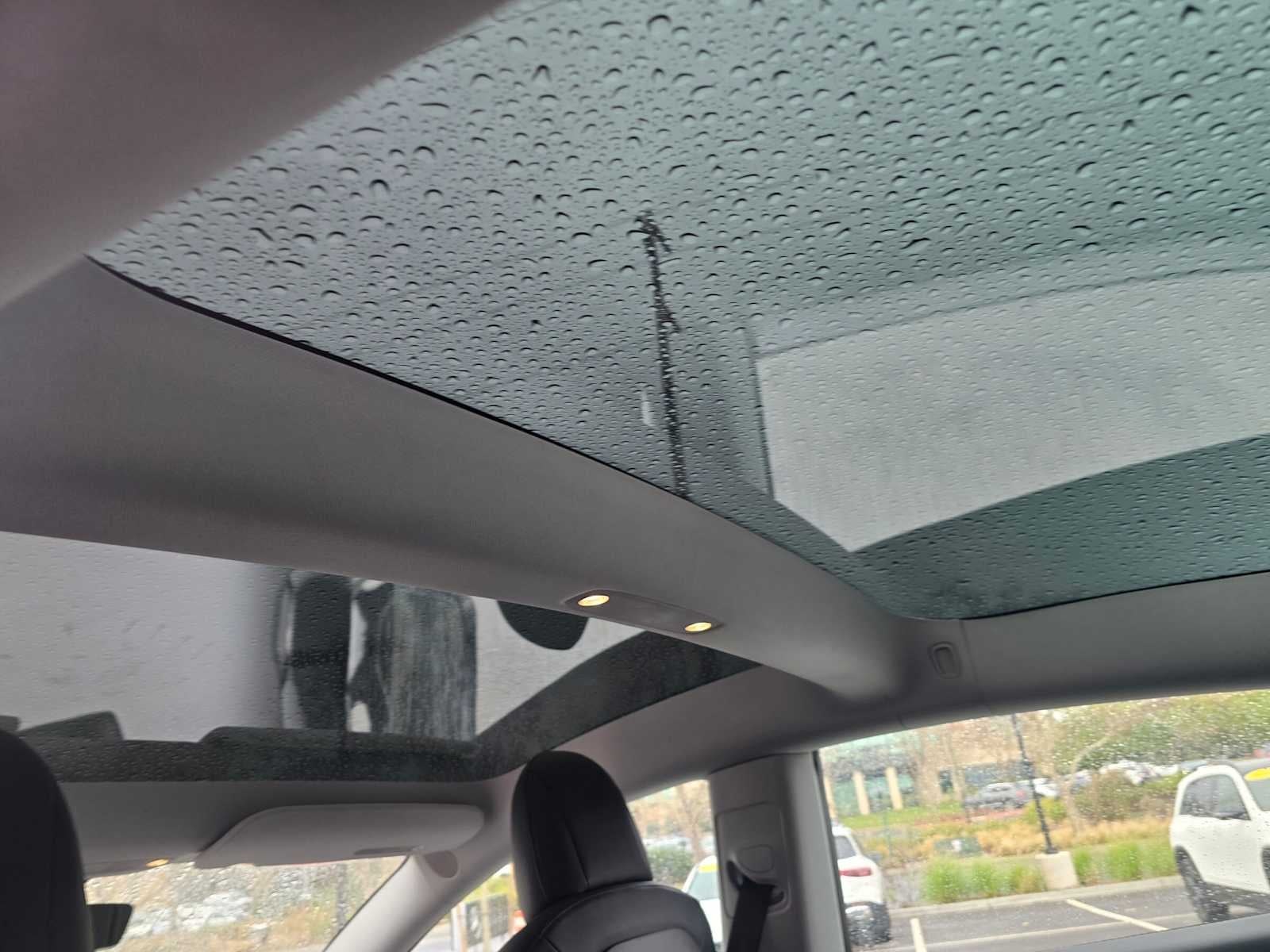 2023 Tesla Model 3 RWD