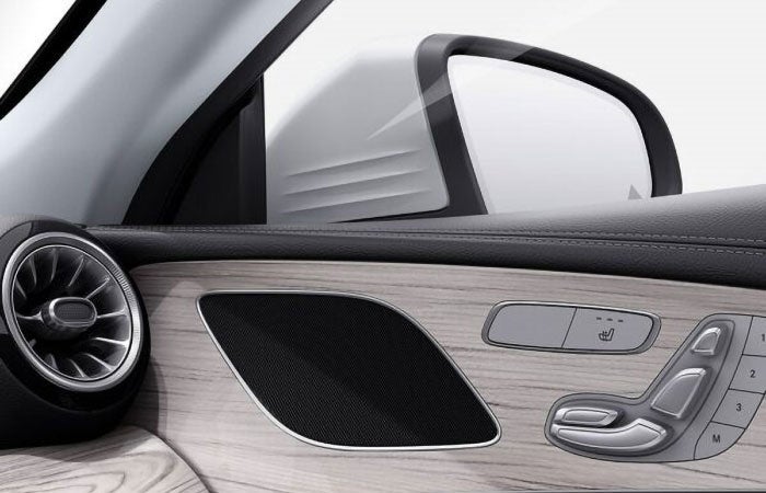 CLS door interior detail